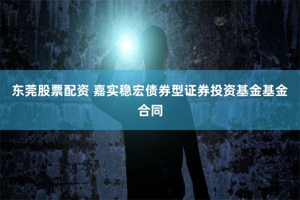 东莞股票配资 嘉实稳宏债券型证券投资基金基金合同