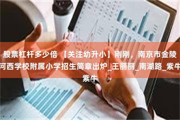 股票杠杆多少倍 【关注幼升小】刚刚，南京市金陵河西学校附属小学招生简章出炉_王丽丽_南湖路_紫牛