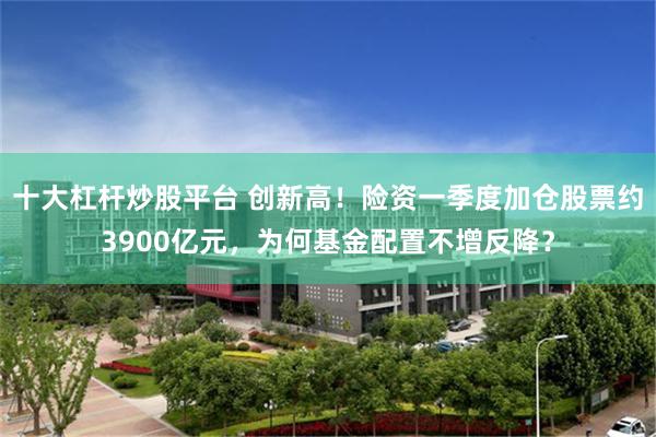 十大杠杆炒股平台 创新高！险资一季度加仓股票约3900亿元，为何基金配置不增反降？