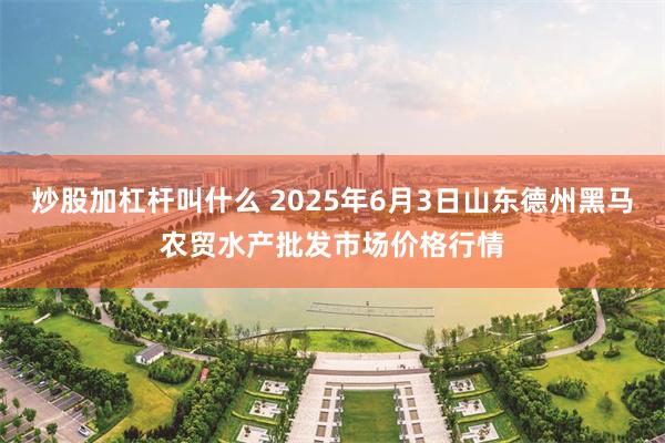 炒股加杠杆叫什么 2025年6月3日山东德州黑马农贸水产批发市场价格行情
