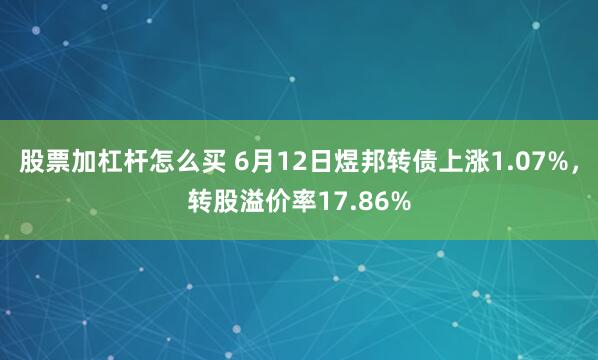 股票加杠杆怎么买 6月12日煜邦转债上涨1.07%，转股溢价率17.86%