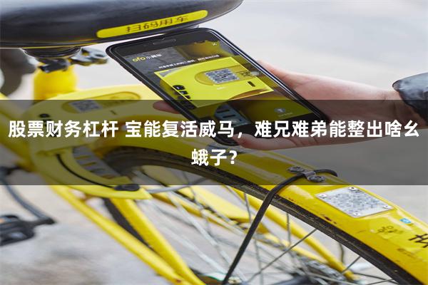 股票财务杠杆 宝能复活威马，难兄难弟能整出啥幺蛾子？